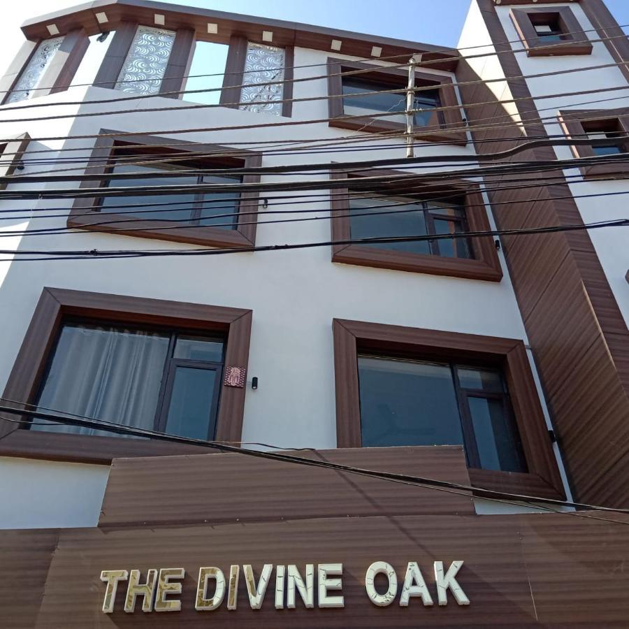 The Divine Oak Hotel Katra  Eksteriør billede