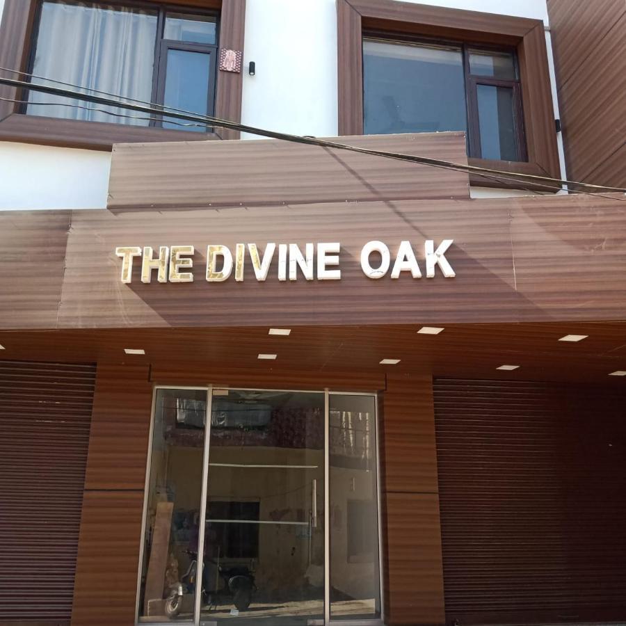 The Divine Oak Hotel Katra  Eksteriør billede